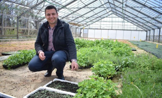 SoldoMonto_DraganRipic_001