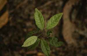 Seminar za studente o ekološkom, društvenom i korporativnom upravljanju