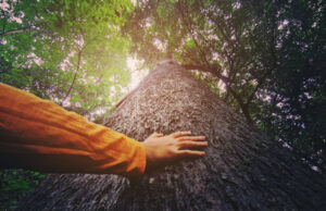 UniCredit banka Banja Luka podržala inicijativu kompanije Mastercard “Neprocjenljiva planeta”